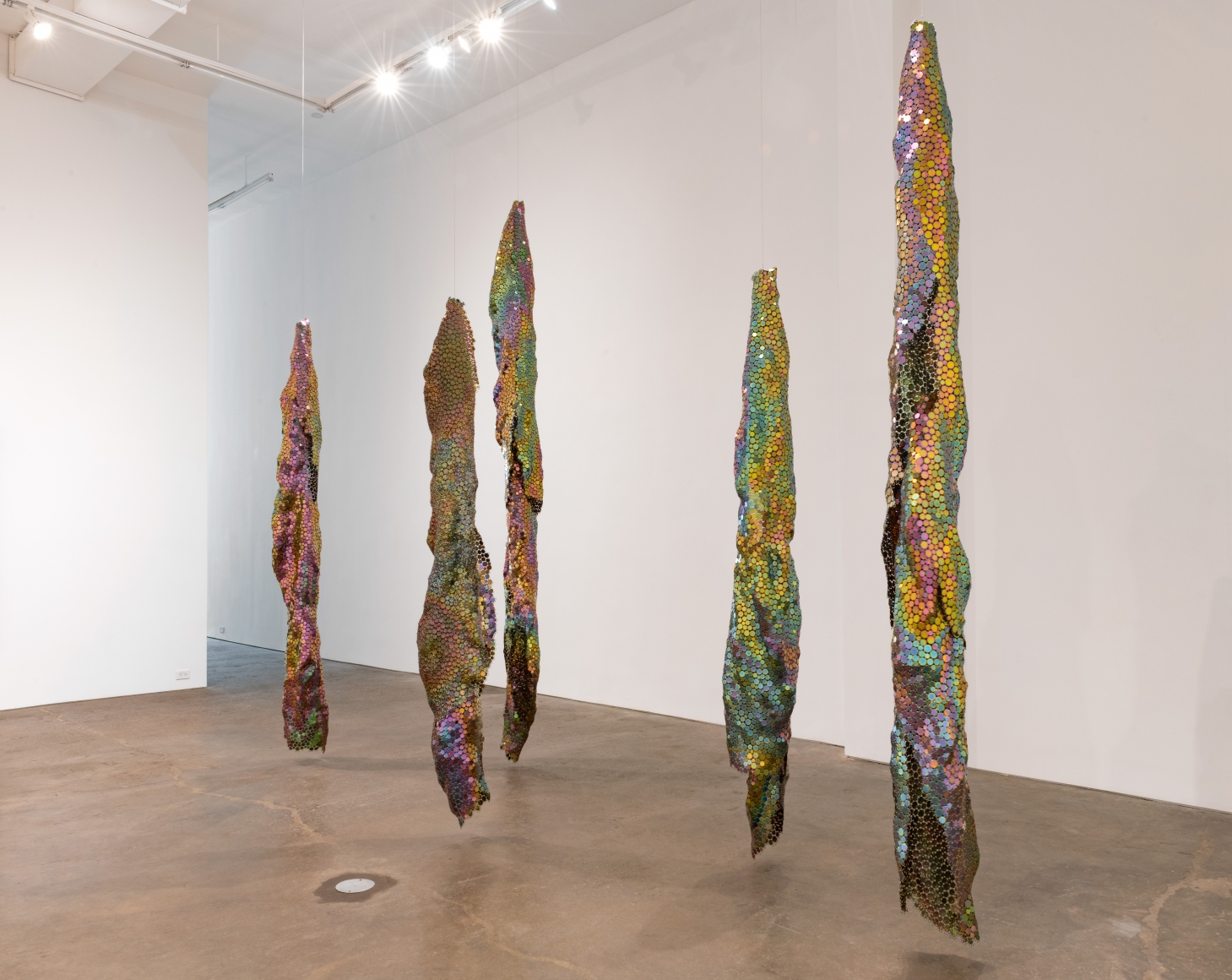 Alyson Shotz, Intricate Metamorphosis #1-6, 2020, plated carbon steel, various dimensions