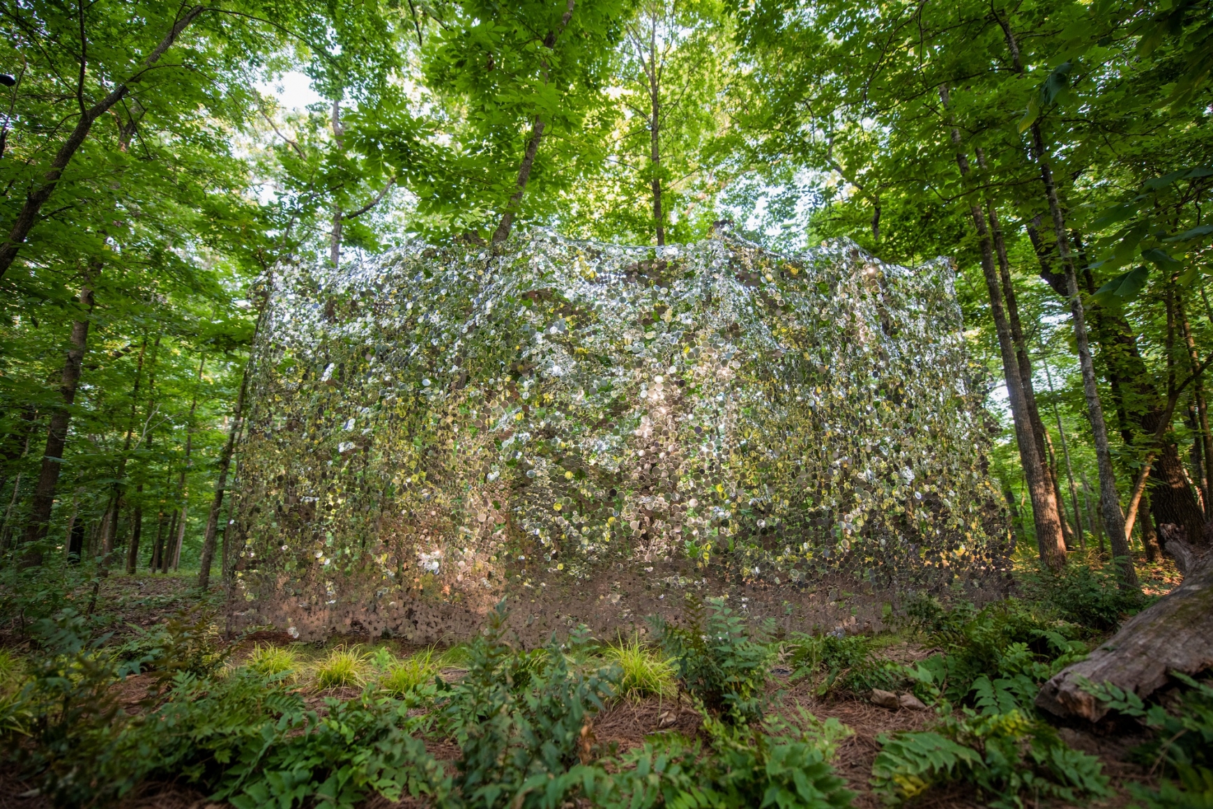 Scattering Screen, 2016 , stainless steel and stainless steel wire