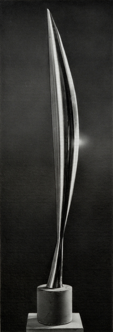 Brancusi, Bird in Space, 2013