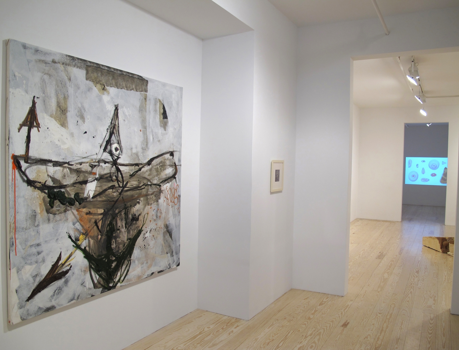 Hair and Skin, installation view at Derek Eller Gallery, New York 