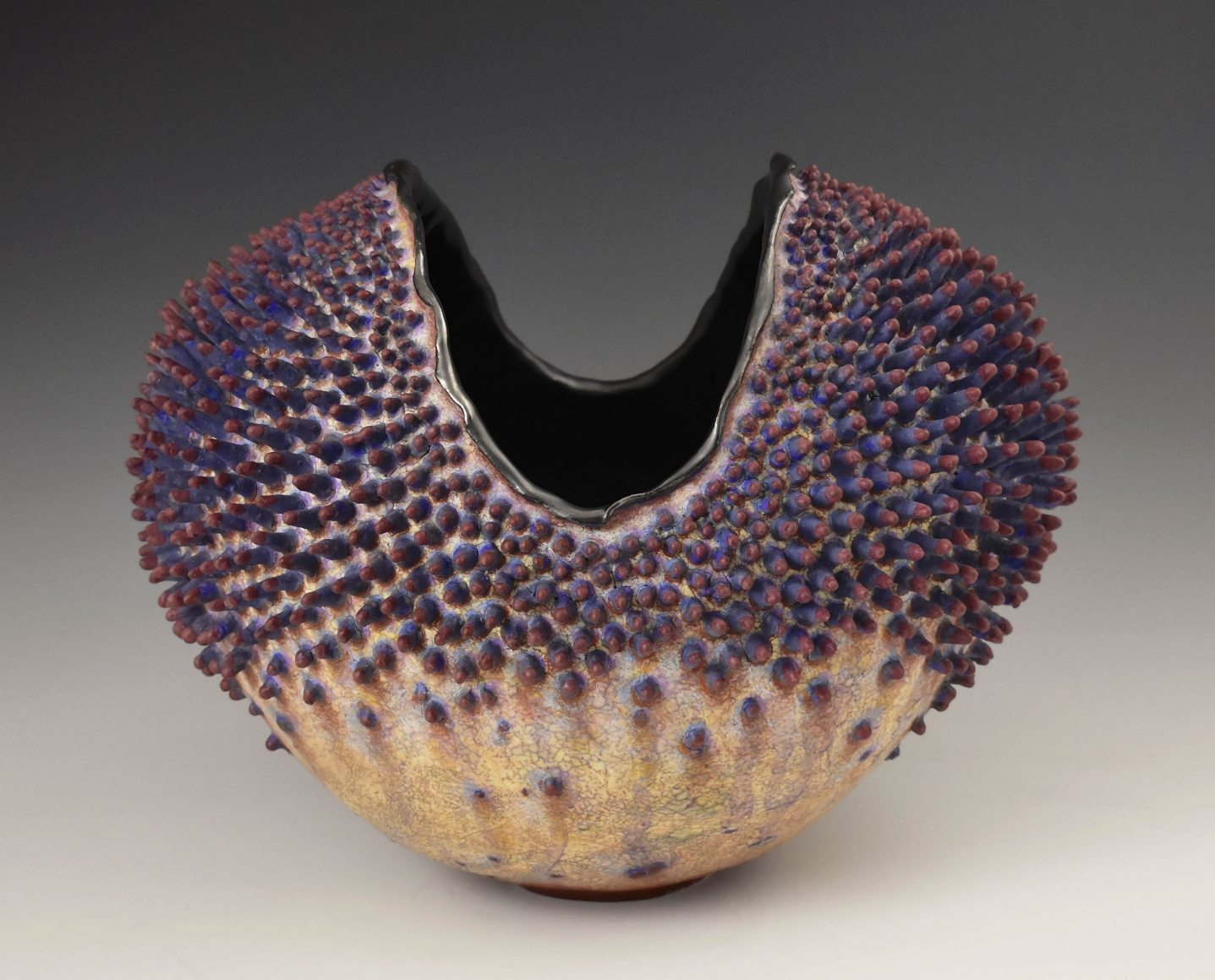 Urchin 36
