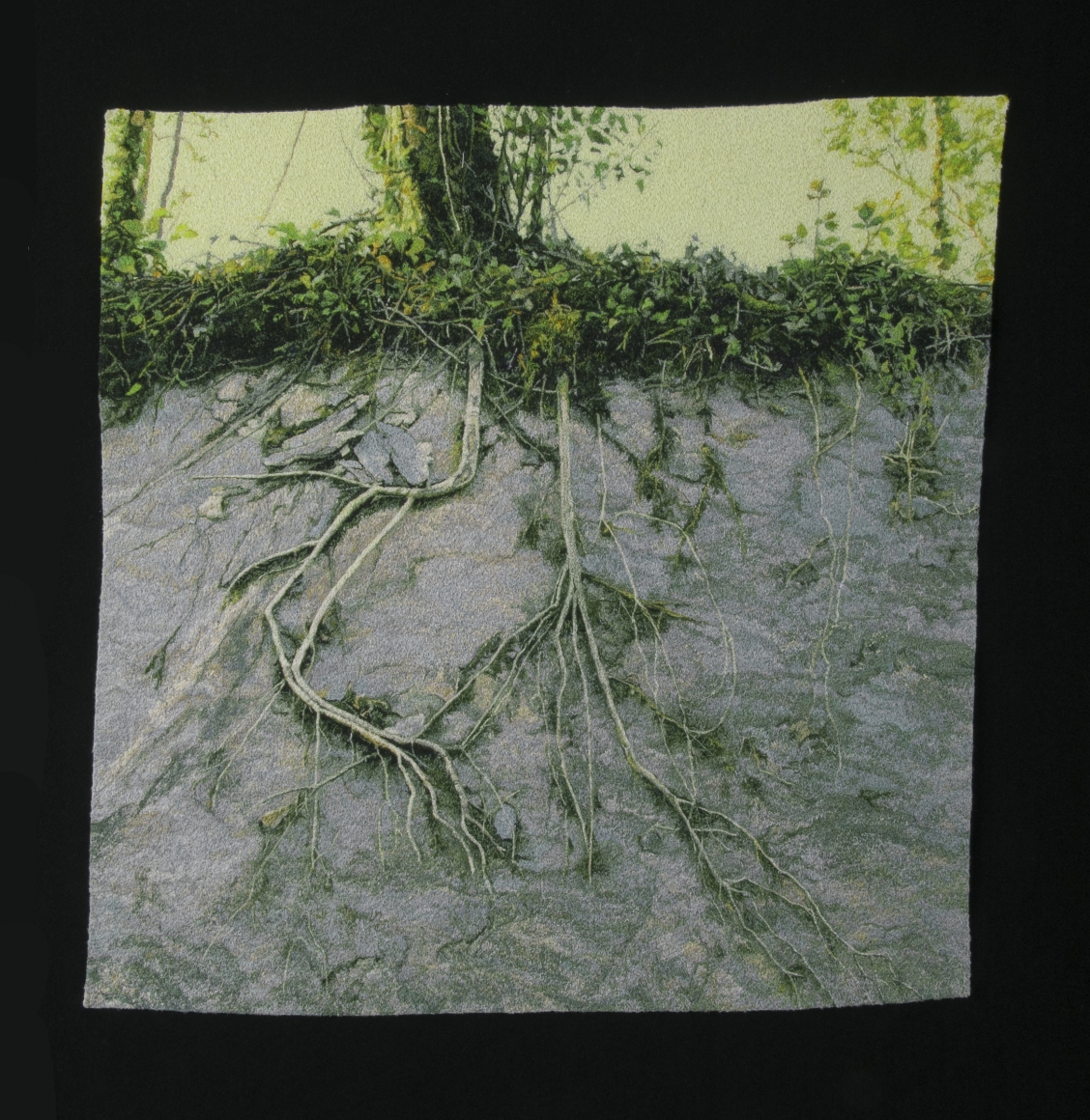 Roots on Stone