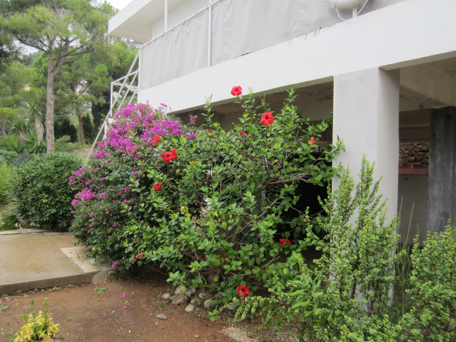 E.1027 © Michelle Brown