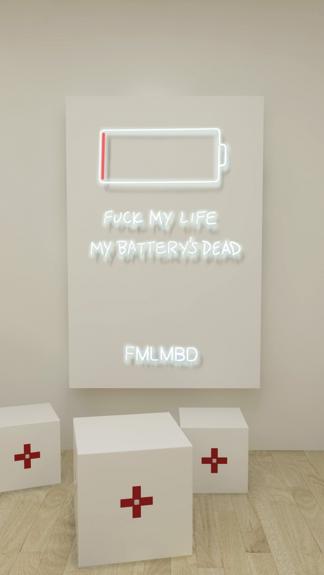 Rachel Lee Hovnanian, FMLMBD, 2017, Installation