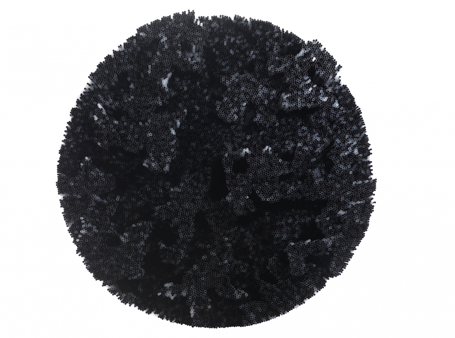 Francesca Pasquali, Black Straws, 2015
