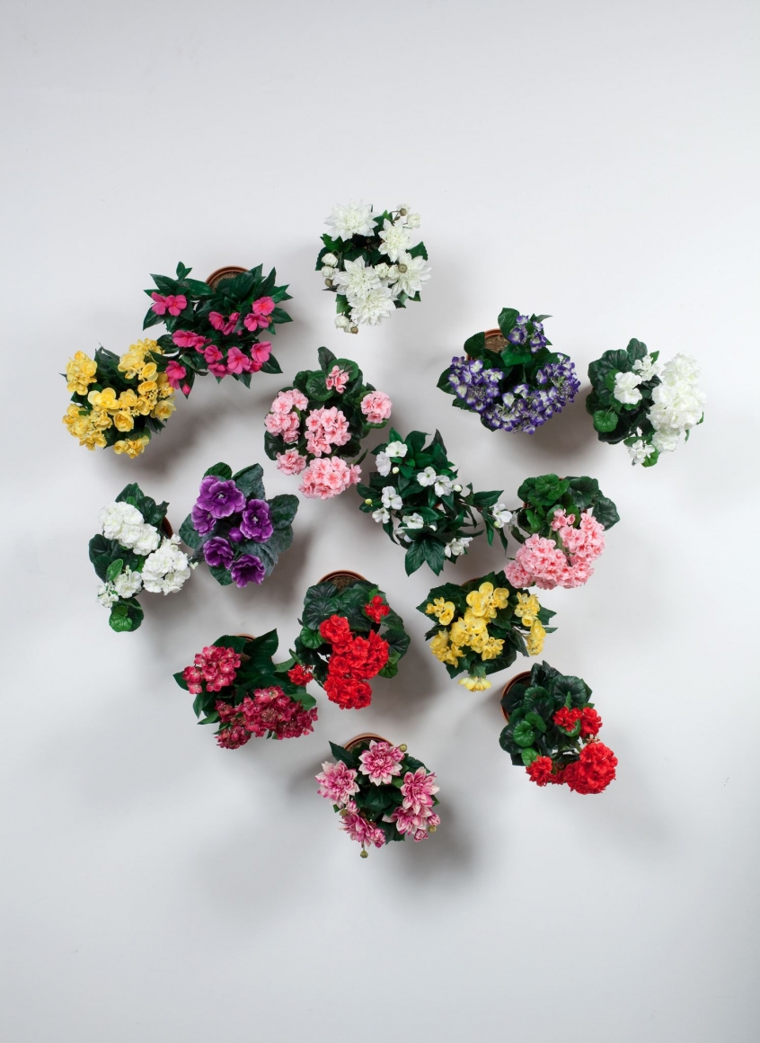 Hans-Peter Feldmann, Flower Pot