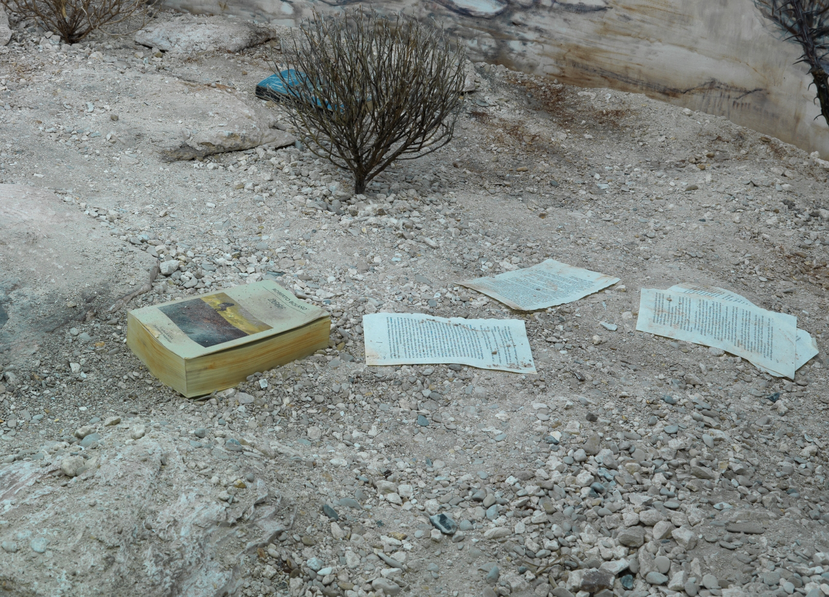 Dominique Gonzalez-Foerster, Chronotopes & Dioramas (Desertic), 2009/2015