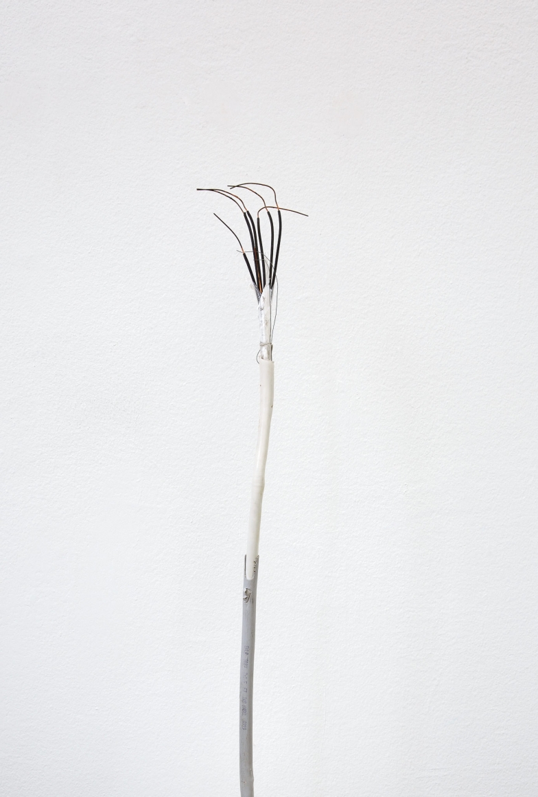 Nina Canell, Installation view: Mid-Sentence, Moderna Museet, Stockholm, 2014