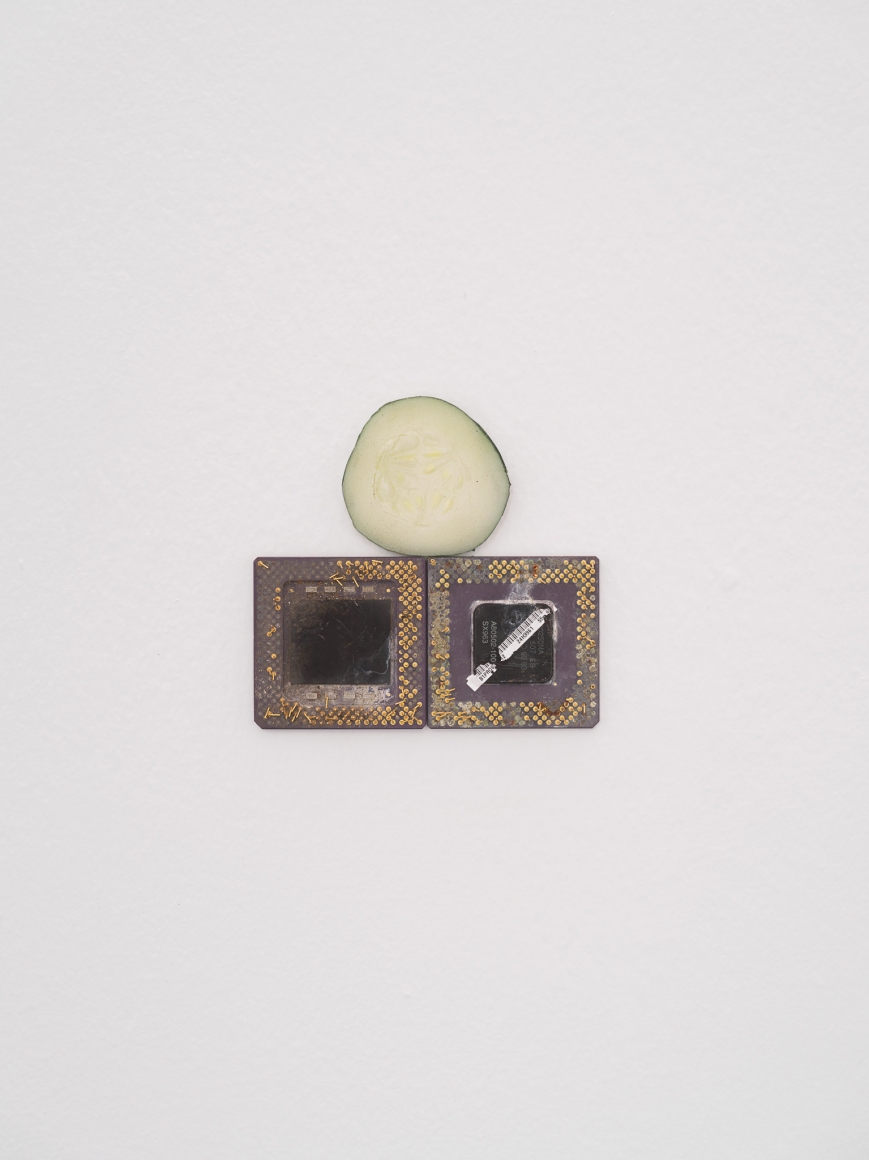 Nina Canell, Energy Budget, S.M.A.K., Ghent, Belgium, 2018