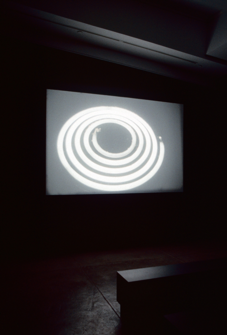 Rodney Graham, Coruscating Cinnamon Granules, 1996, Installation view: 303 Gallery, 2001