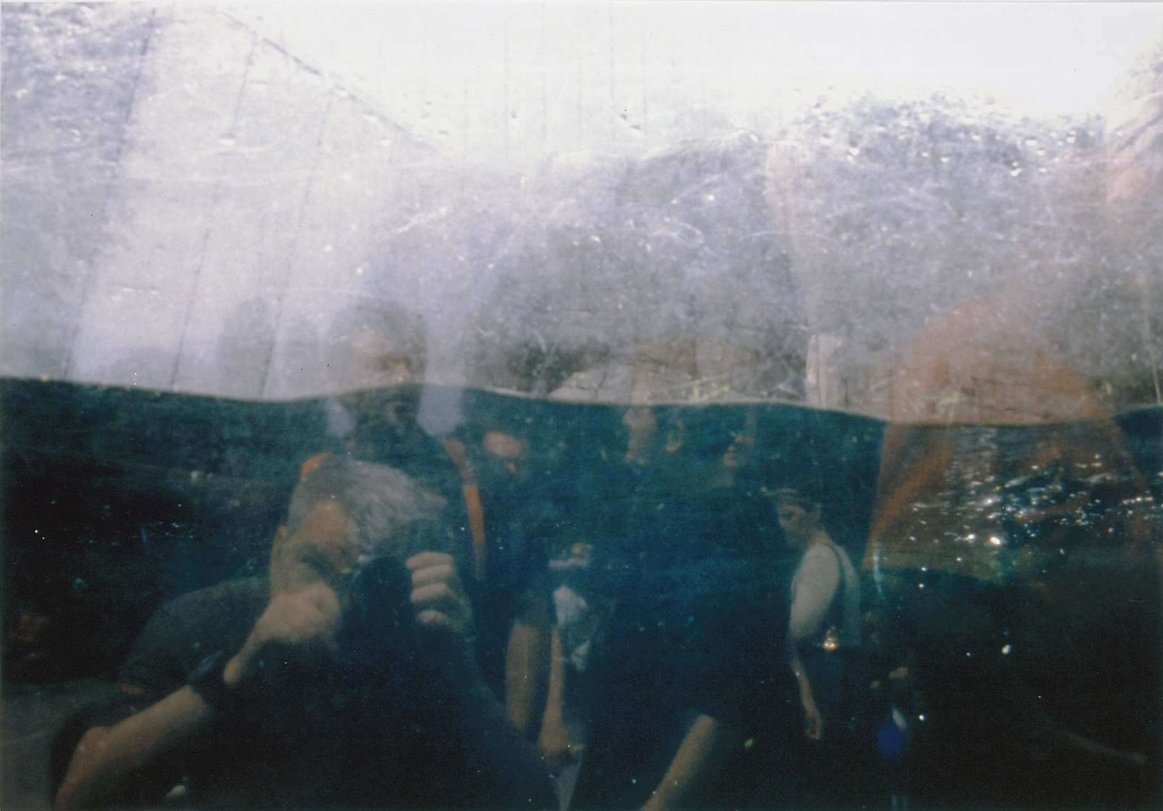 Dan Graham, Self-Portrait at the Penguin Display, Antwerp Zoo