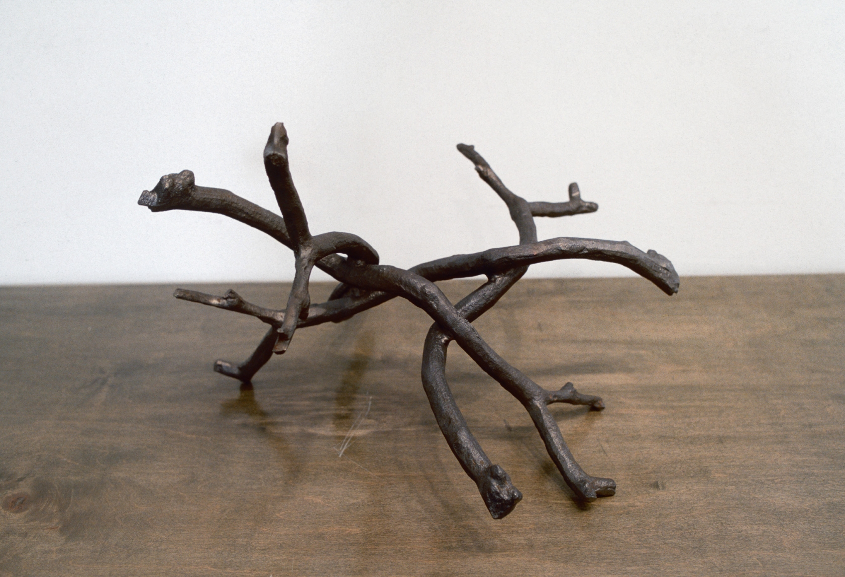 Liz Larner, Gnarled Twig #1-4, 1991