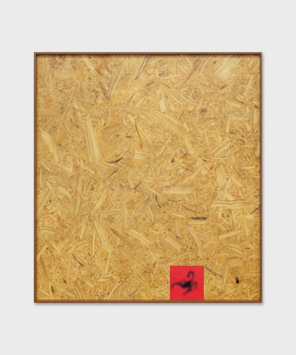 Valentin Carron, Fuzzy Scorpion, 2019