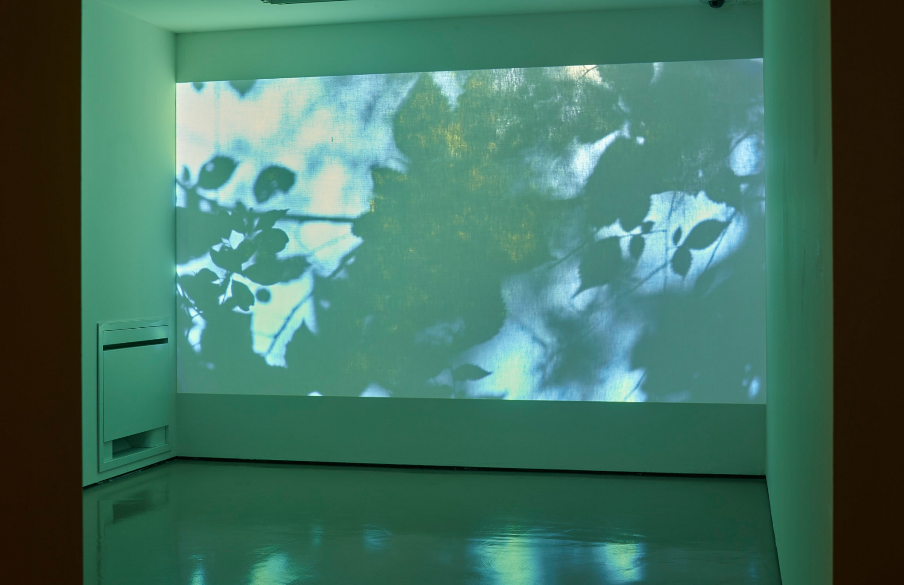 Sam Falls, Exhibition view: Nature Is The New Minimalism, MART, Galleria Civica, Trento, Italy, 2018.