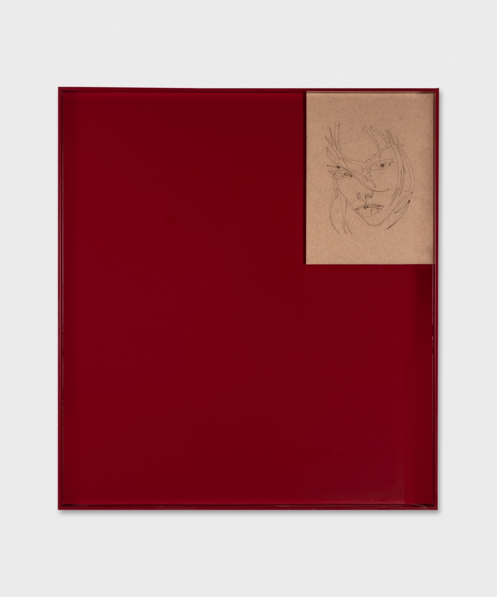 Valentin Carron, Hairstyle And Red Wine, 2019