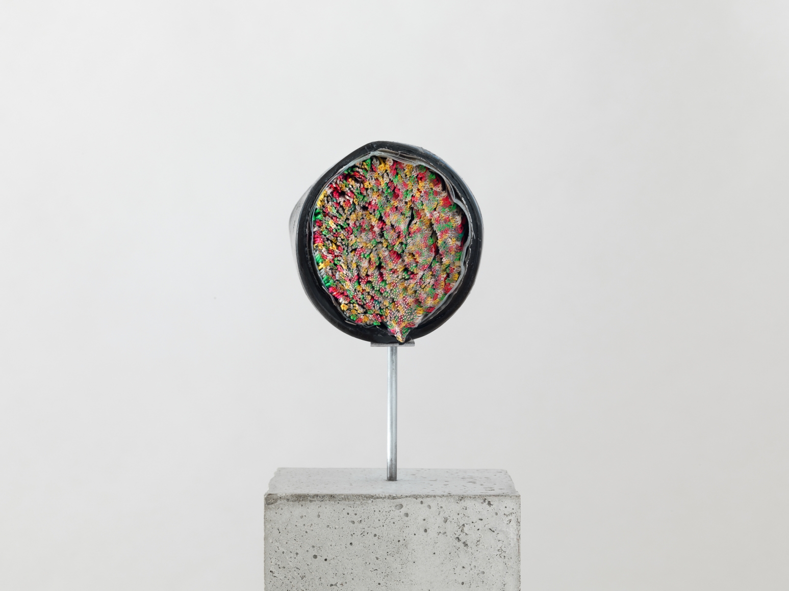 Nina Canell, Installation view: Near Here, Camden Arts Centre, London, 2014