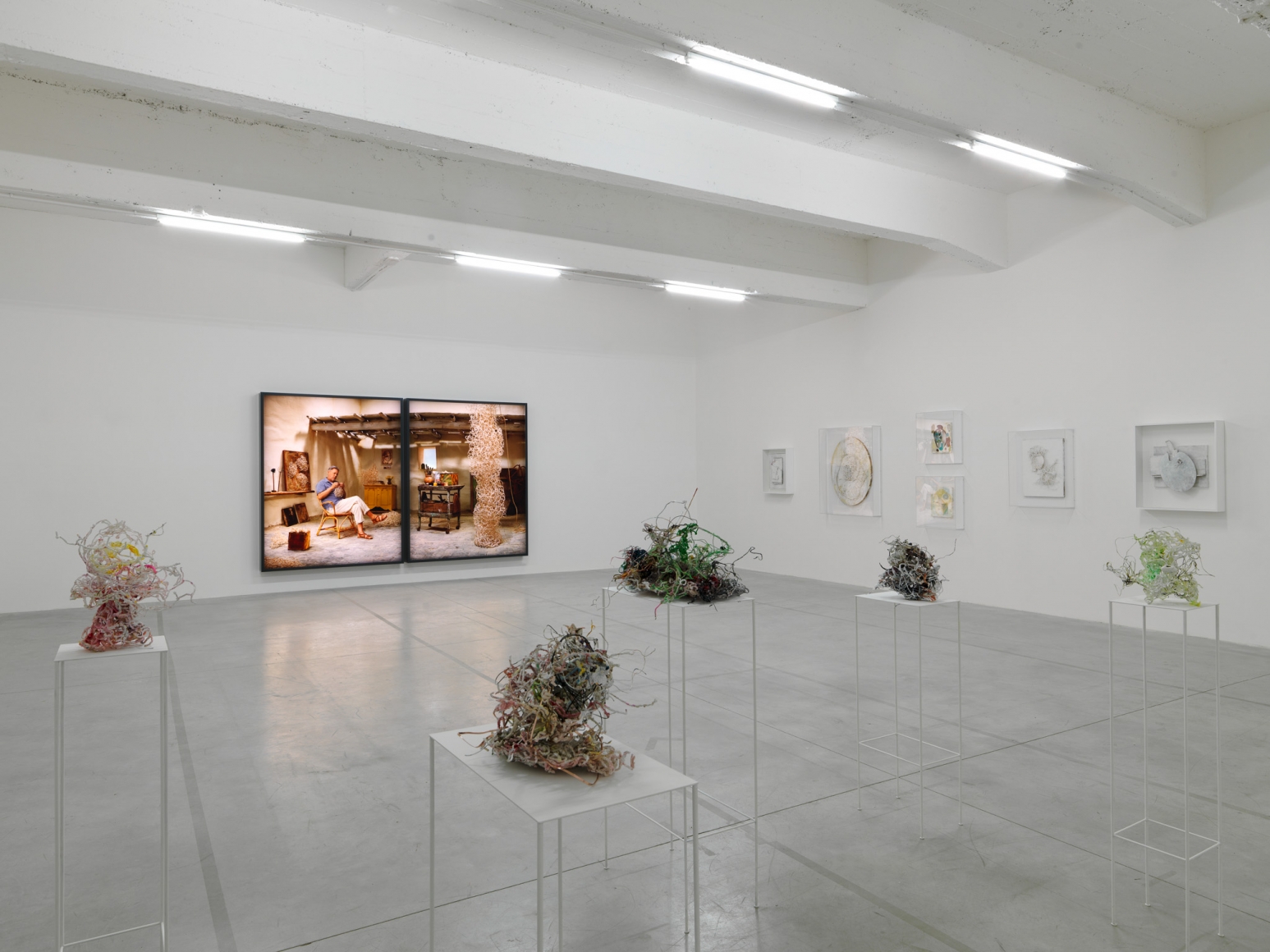 Rodney Graham, Installation view: You should be an artist, 2016, Le Consortium
