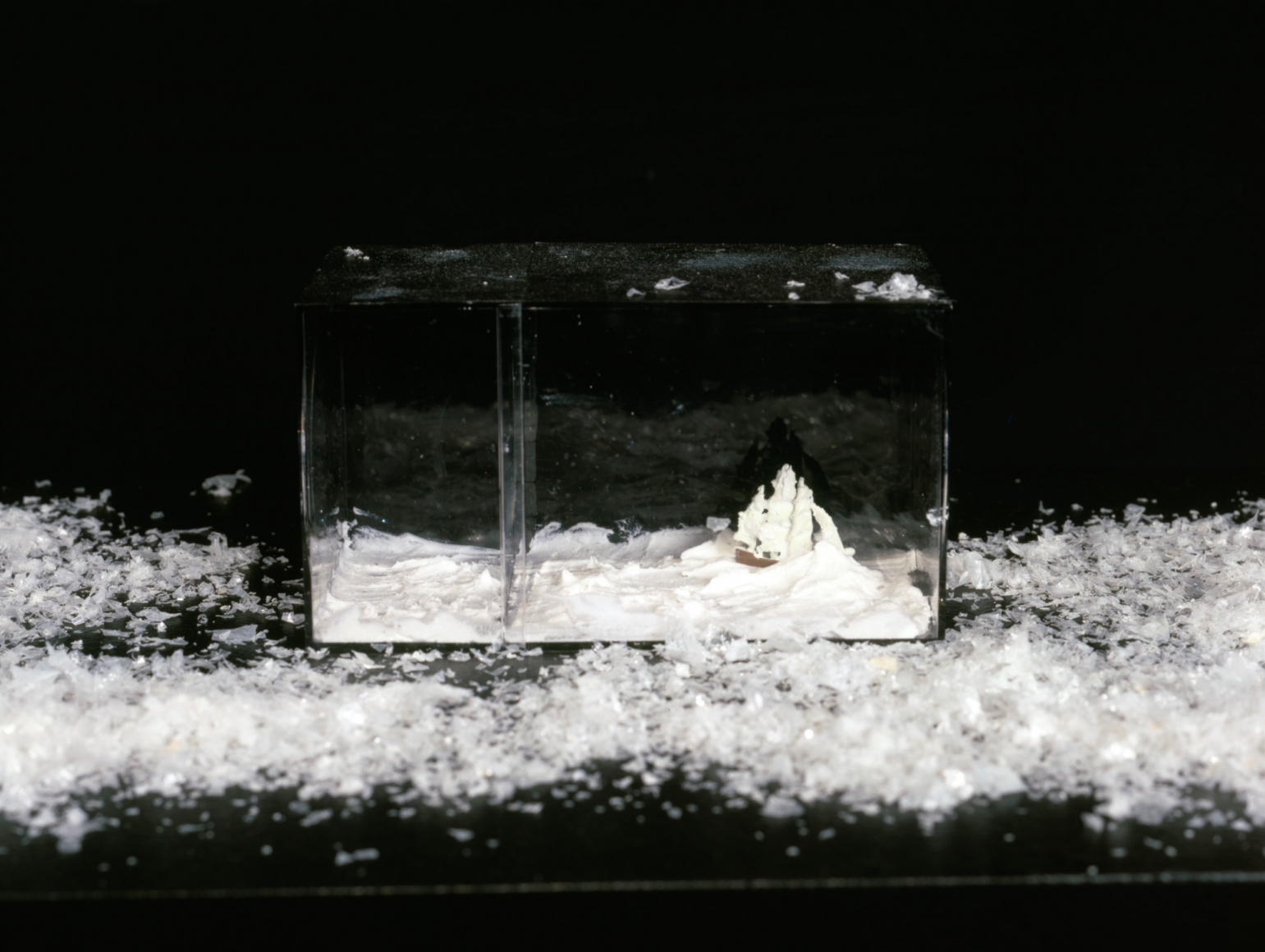 Karen Kilimnik, The Endurance at Night, 2000