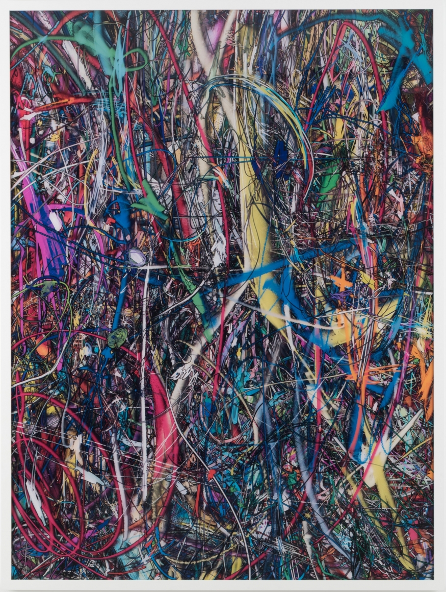Florian Maier-Aichen, Untitled (Lasso Painting #3), 2016