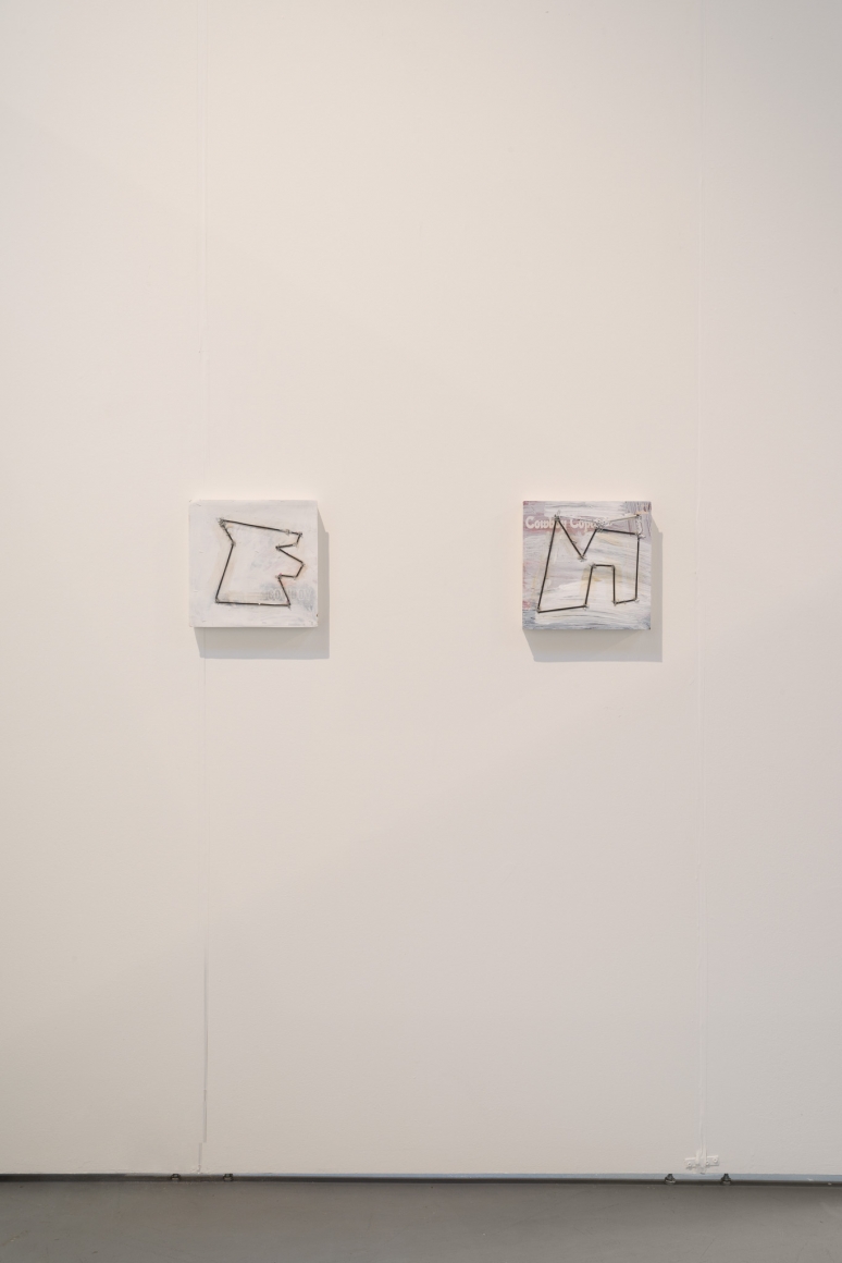 Installation view Richard Prince