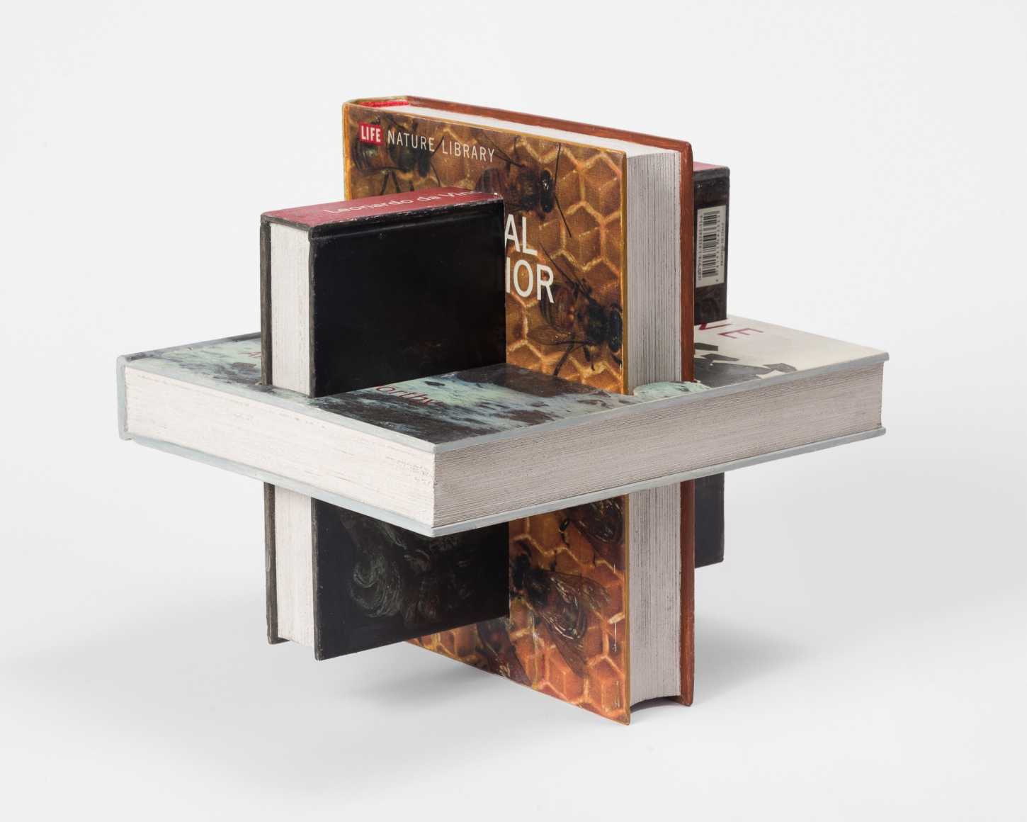 Matt Johnson, 3 Intersecting Books (Andy Goldsworthy, Animal Behavior, Leonardo da Vinci), 2020