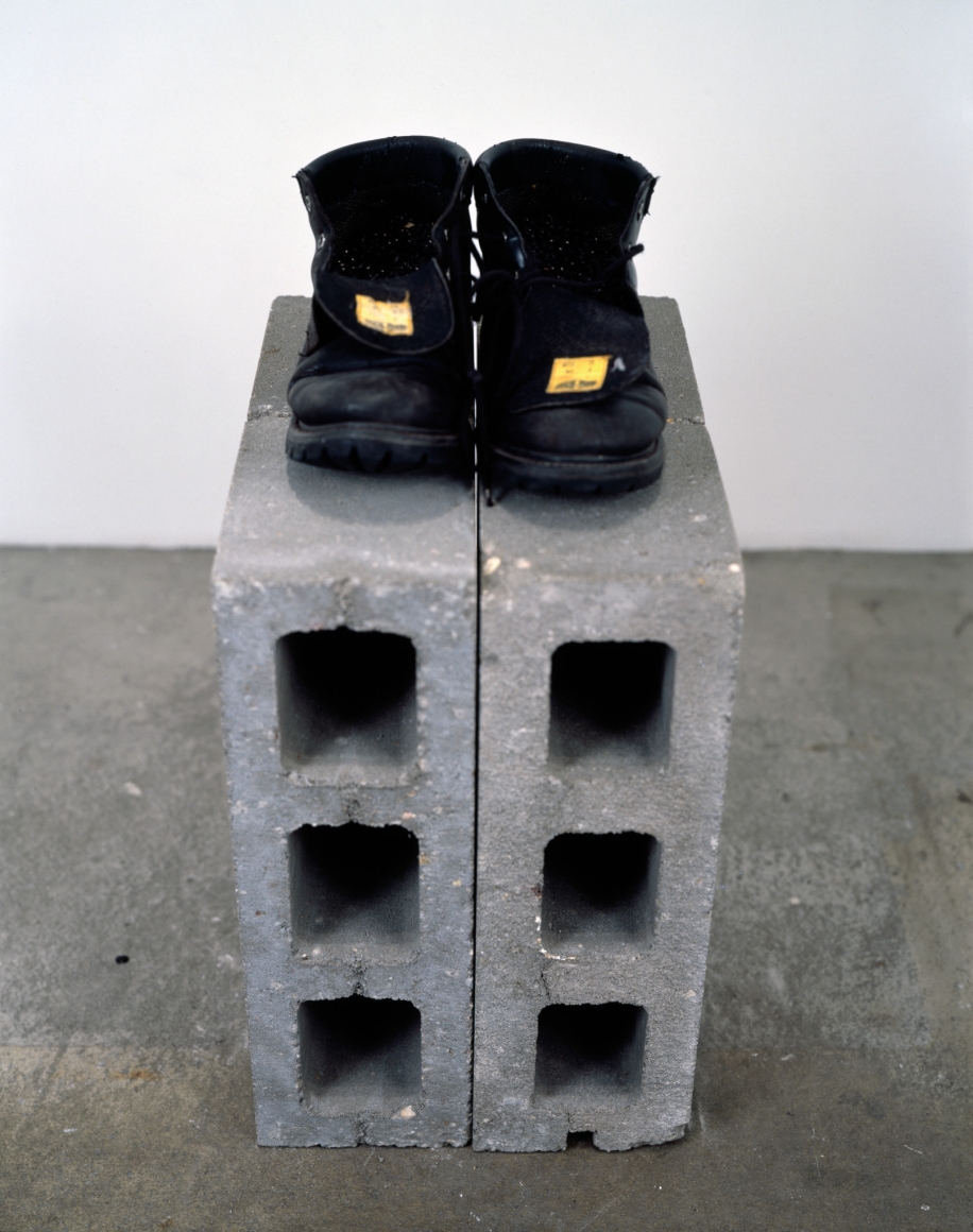 Meyer Vaisman, Cantos II, 1995