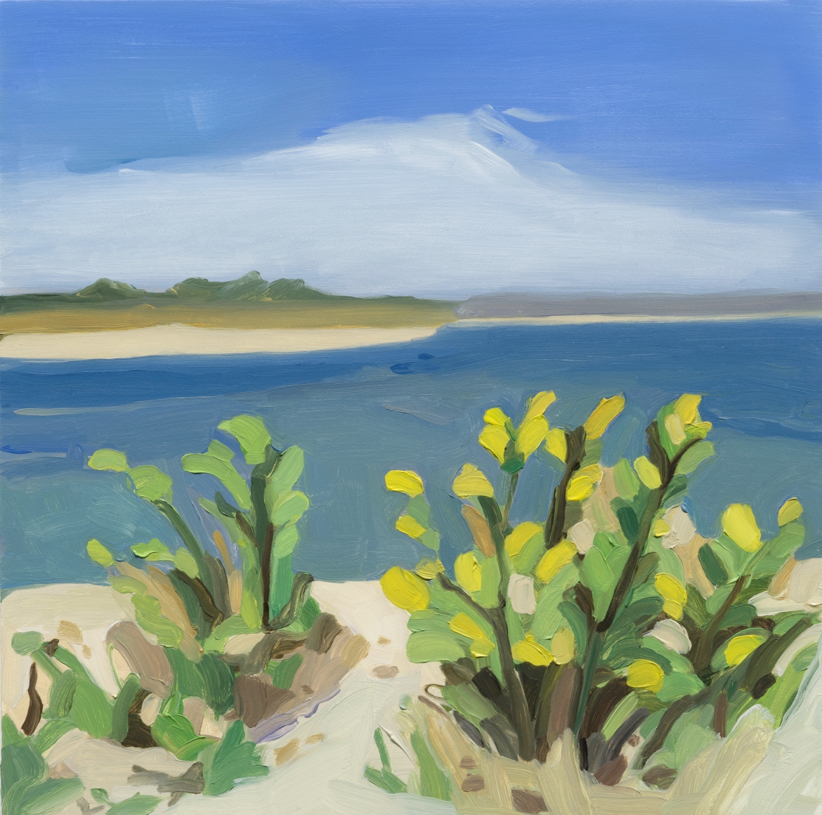 Maureen Gallace, Yellow Flowers - Long Island, 2014