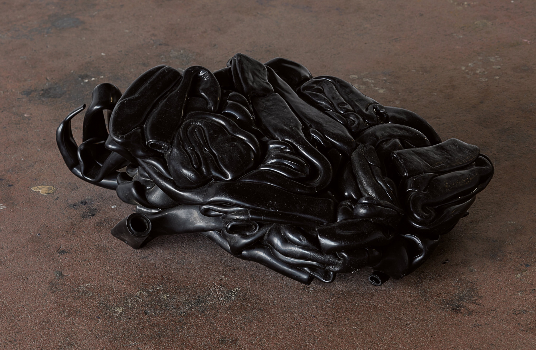 Nina Canell, Installation view: Dolphin Dandelion, Le Crédac, Paris Ivry-sur-Seine, 2017
