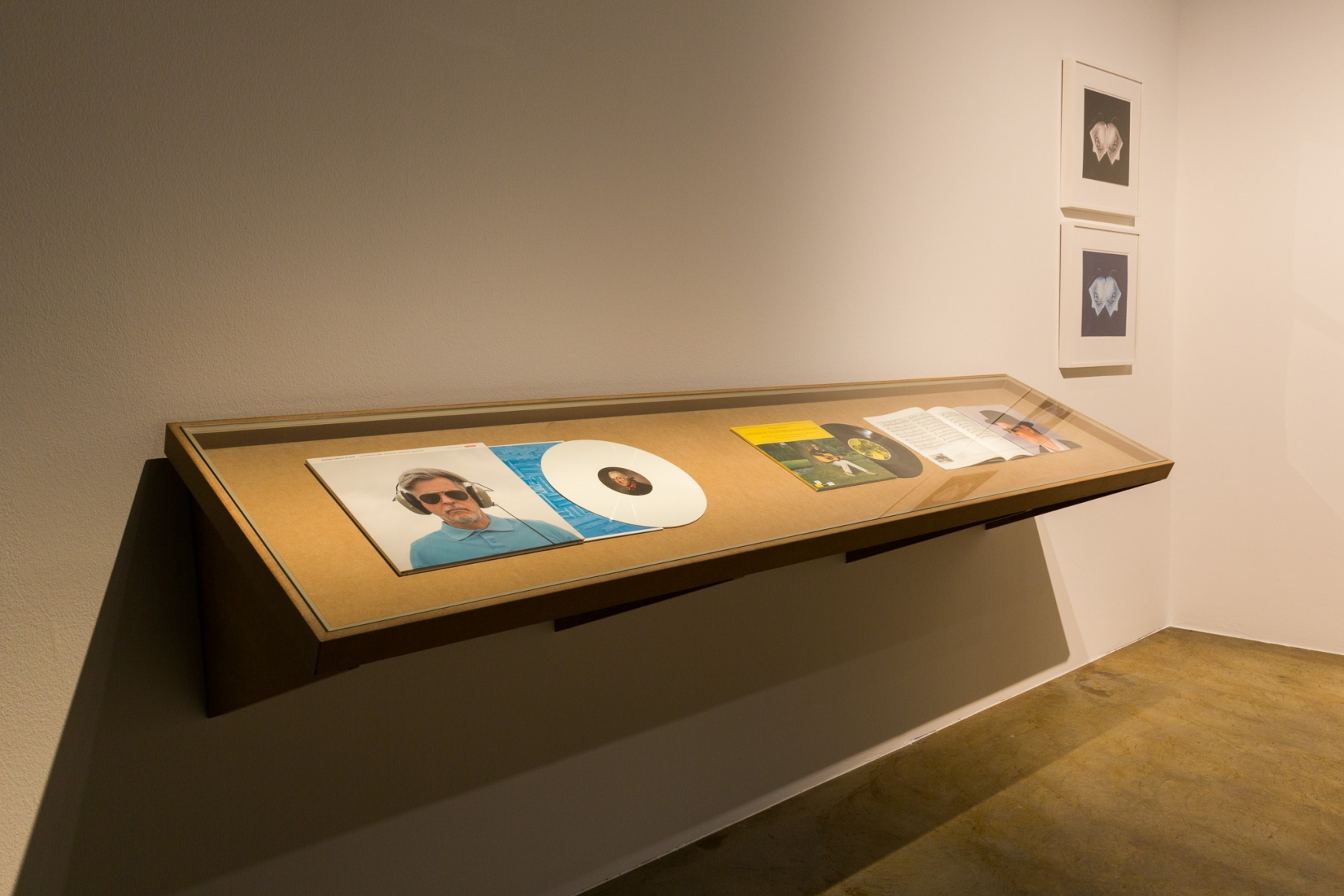 Rodney Graham, Installation view: Sammlung Goetz, München, 2016