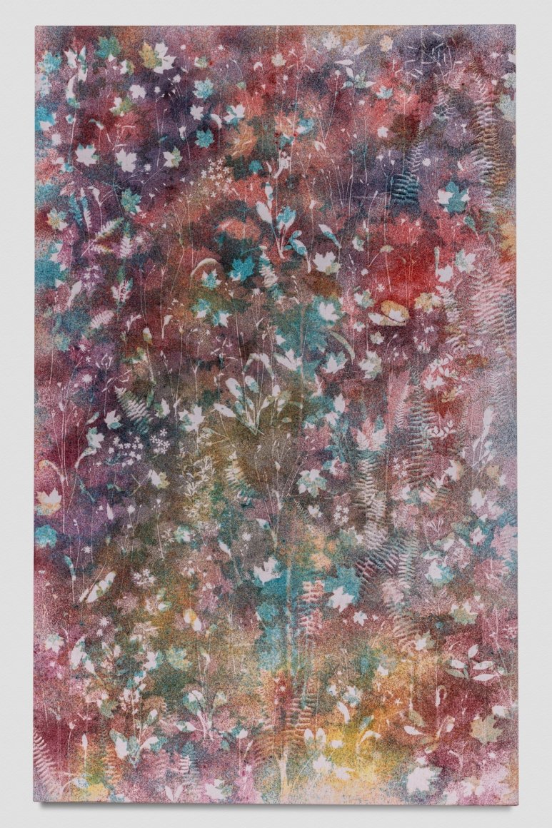 Sam Falls, Untitled (Mark Twain National Forest, 1)