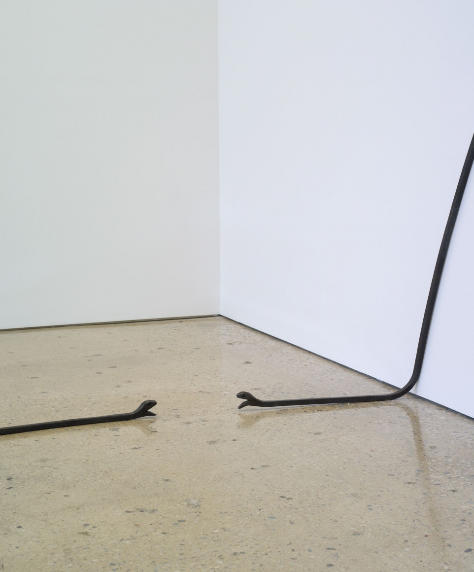 Valentin Carron, He we you they I, 2012