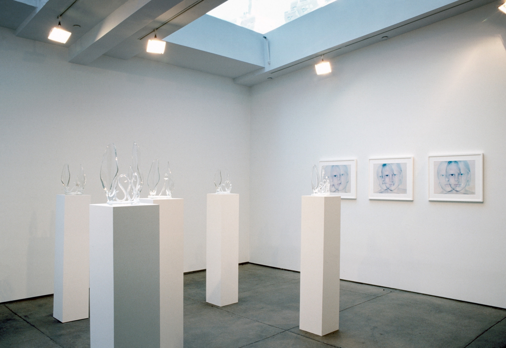 Kristin Oppenheim, Installation view: 303 Gallery, New York, 2000