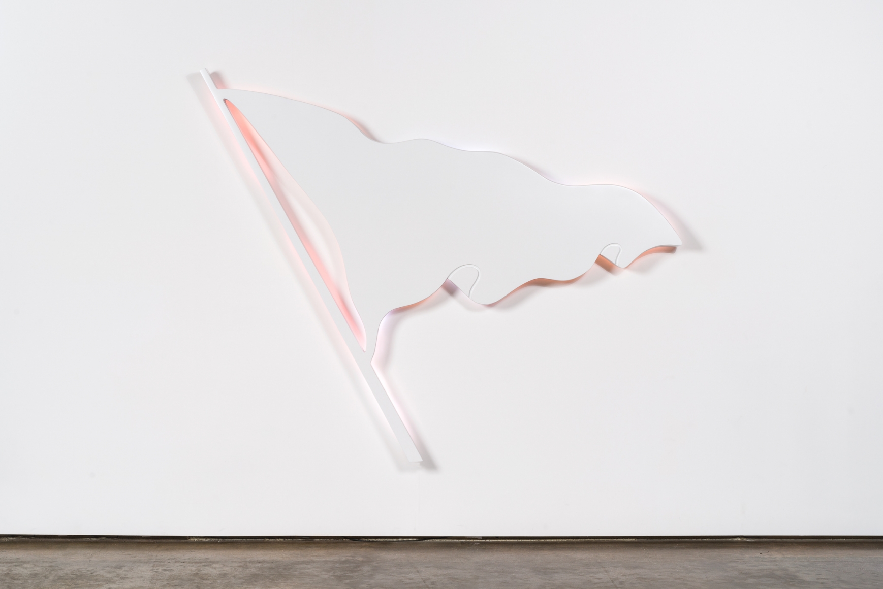 Doug Aitken, Flag (without borders)