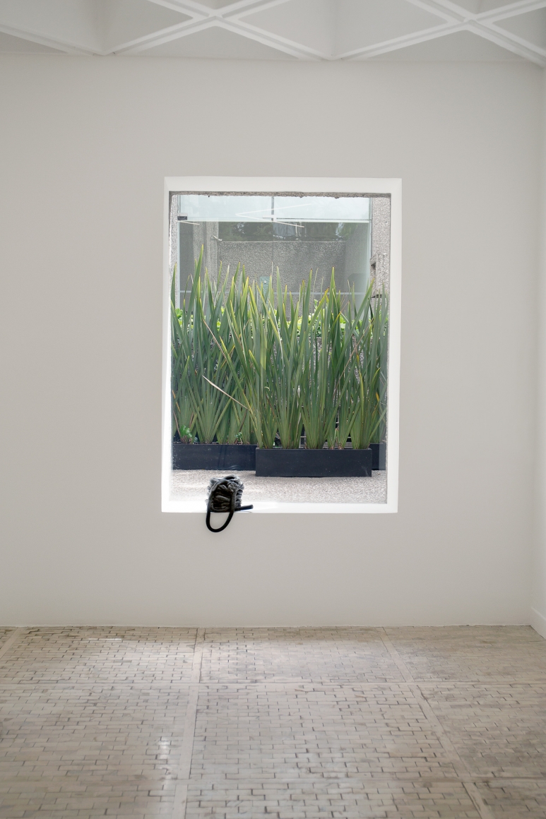 Nina Canell, Installation view: Ayrton, Museo Tamayo, Mexico City, 2017