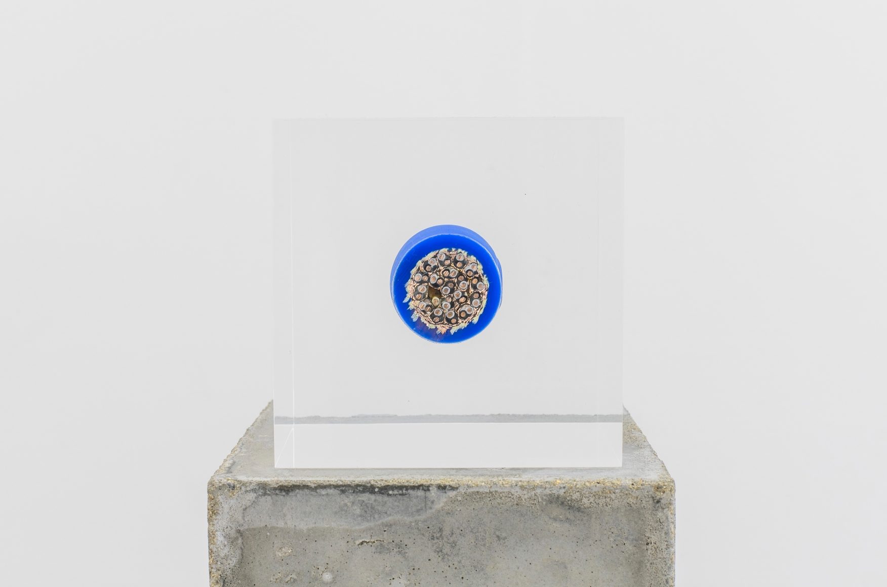 Nina Canell, Brief Syllable (Oceanic)
