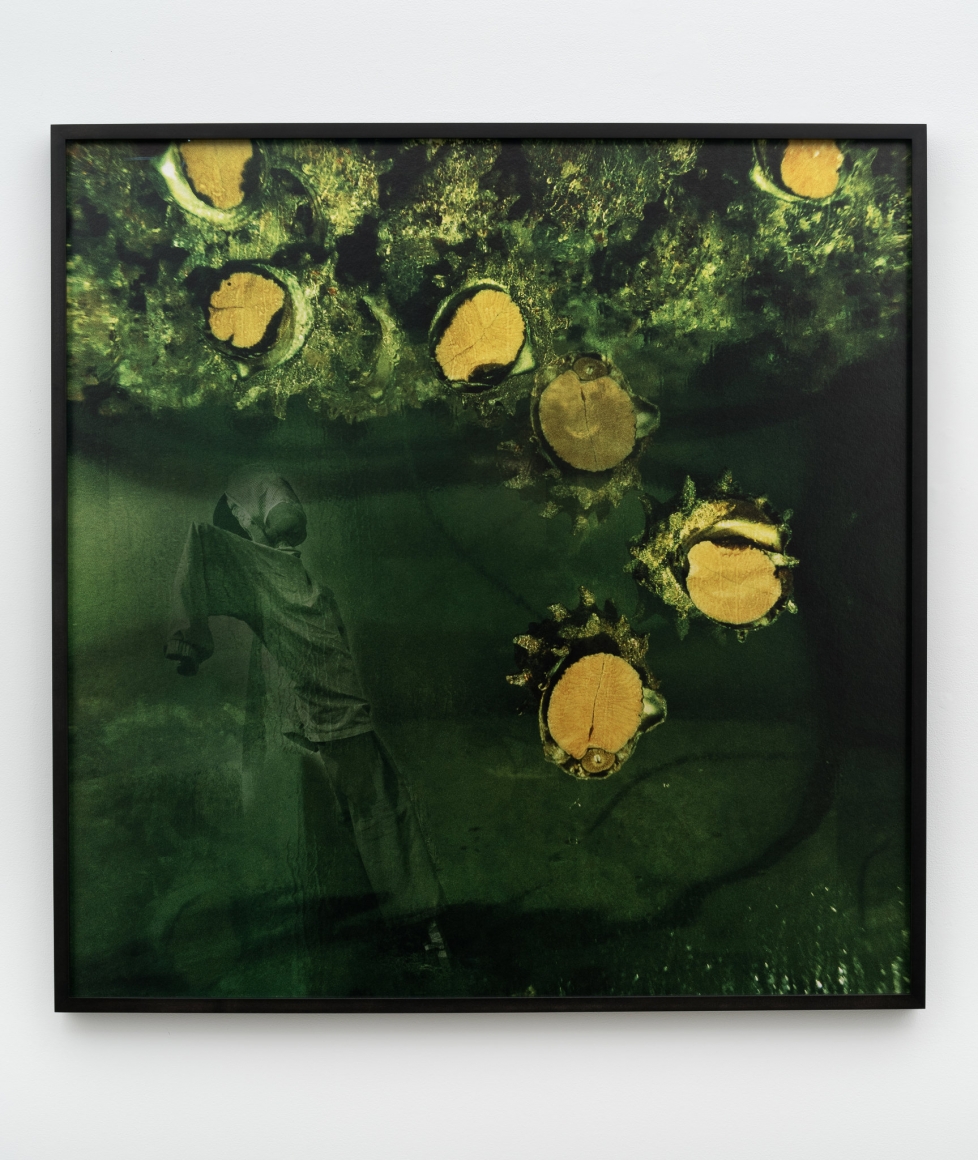 Jane & Louise Wilson, Untitled #7 'I'd Walk With You But Not With Her’, 2018