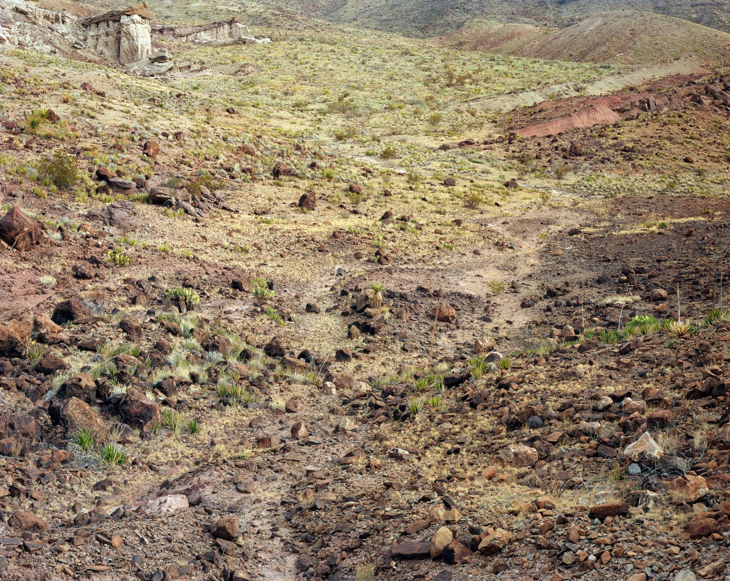 Stephen Shore, Brewster County, Texas, 1988