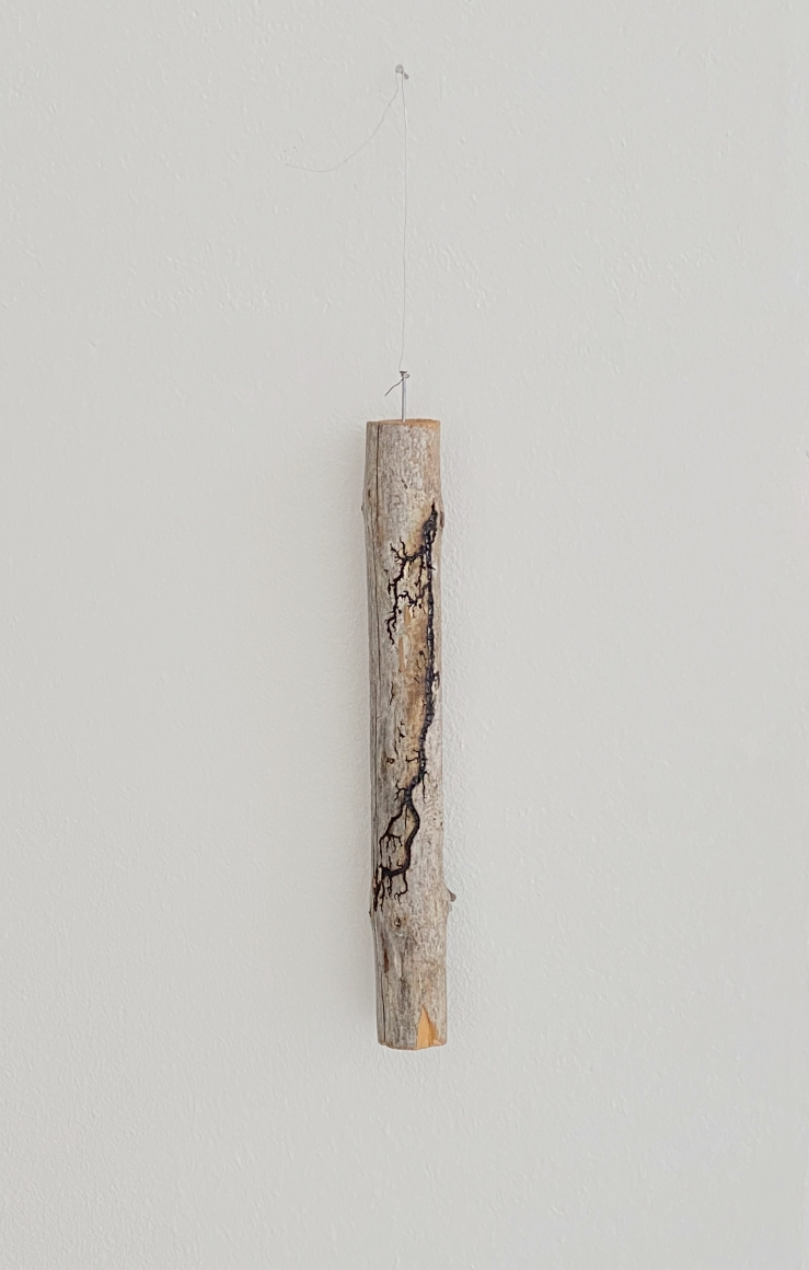 Nina Canell, Halfway Between Opposite Ends