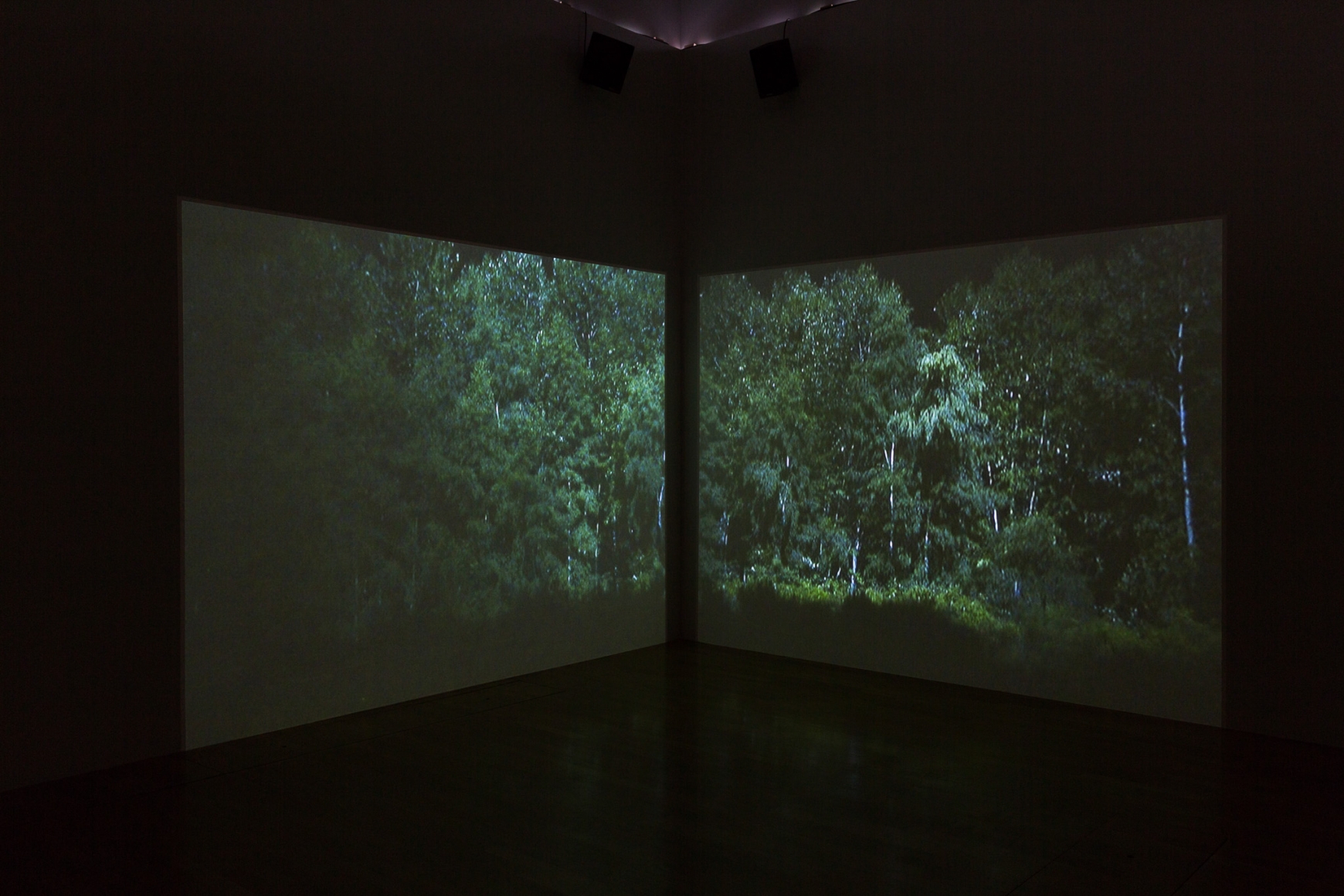 Rodney Graham, Installation view: Sammlung Goetz, München, 2016