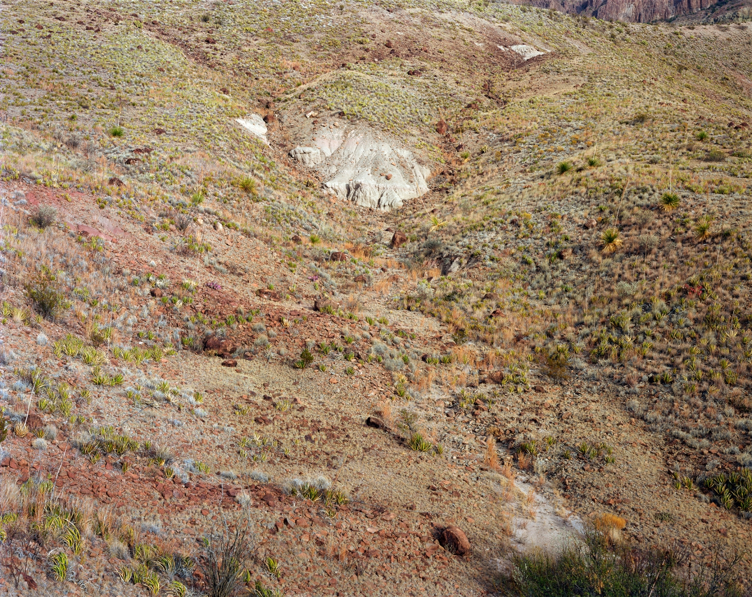 Stephen Shore, Brewster County, Texas, 1988