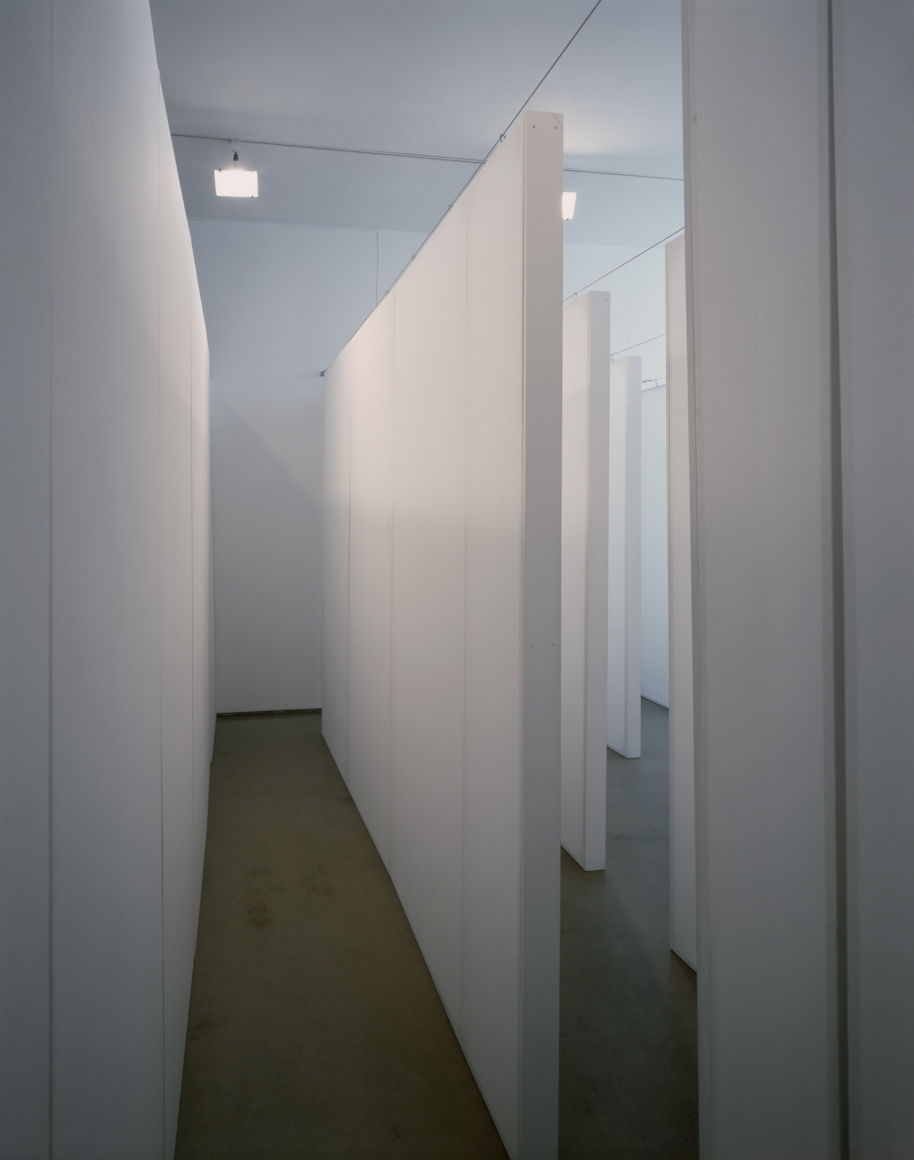 Kristin Oppenheim, The Eyes I Remember, 1999-2000
