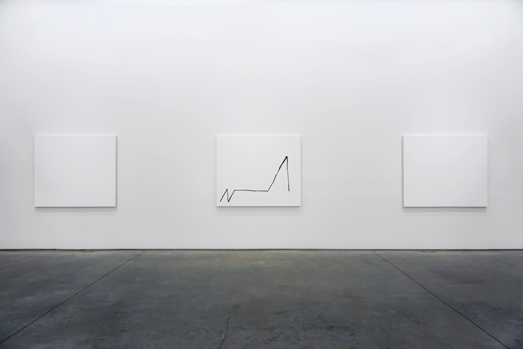 Sarah Meyohas, Installation at 303 Gallery, 2016