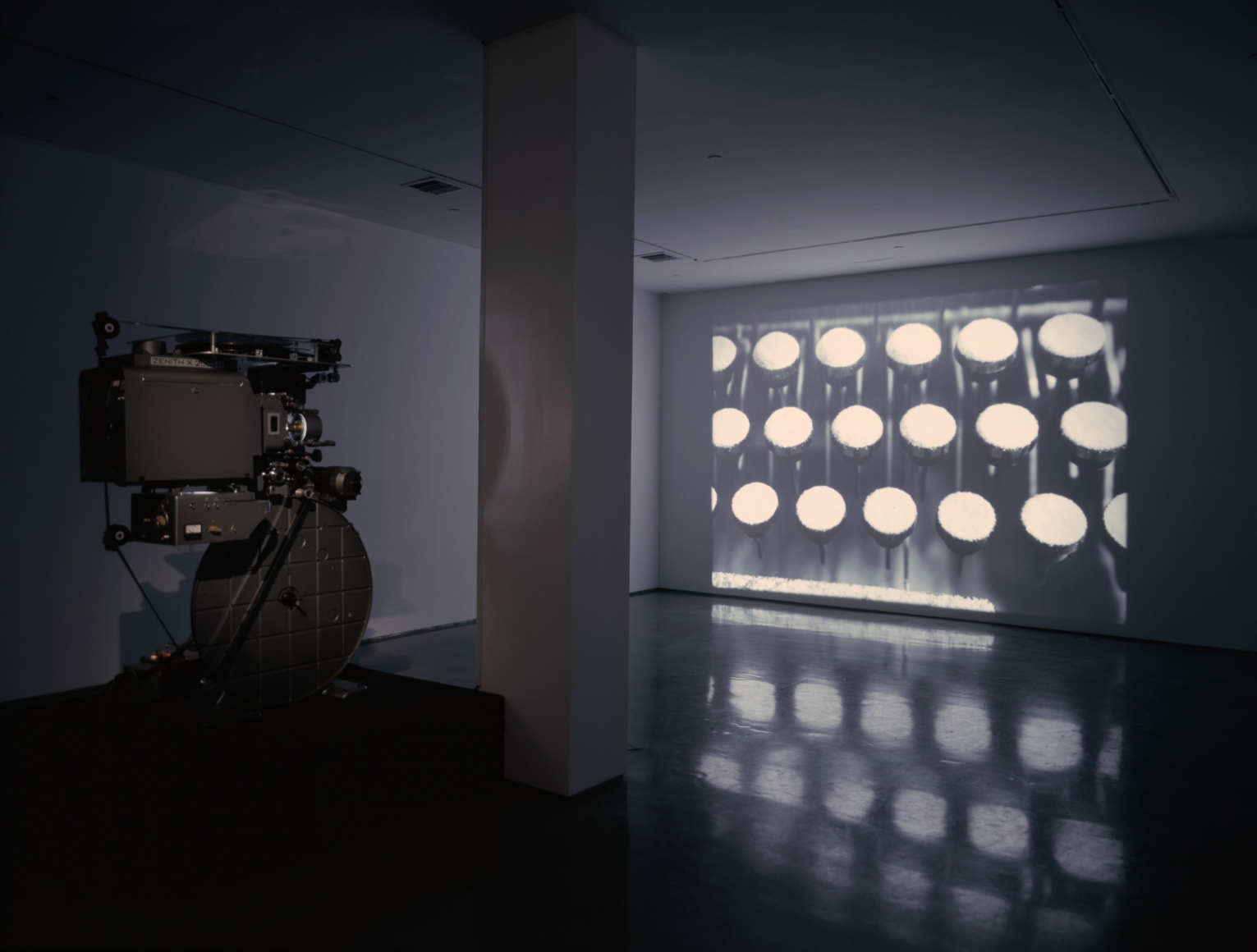 Rodney Graham, Rheinmetall / Victoria-8, 2003, Installation view: 303 Gallery, 2004
