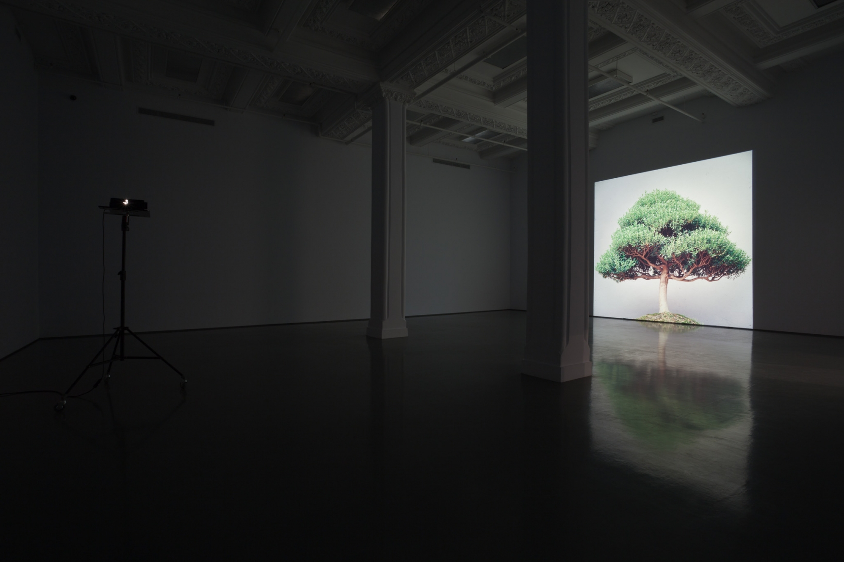 Ceal Floyer, Installation view: DHC/ART. Montréal, Québec, 2011