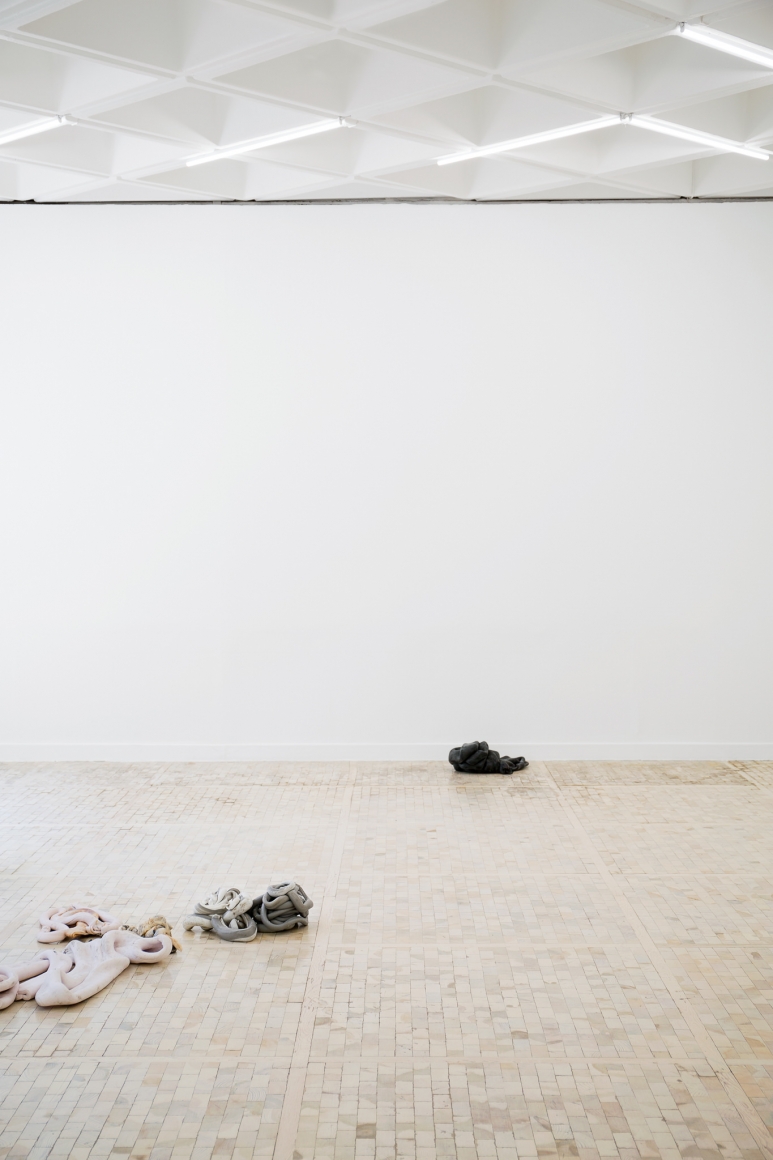 Nina Canell, Installation view: Ayrton, Museo Tamayo, Mexico City, 2017