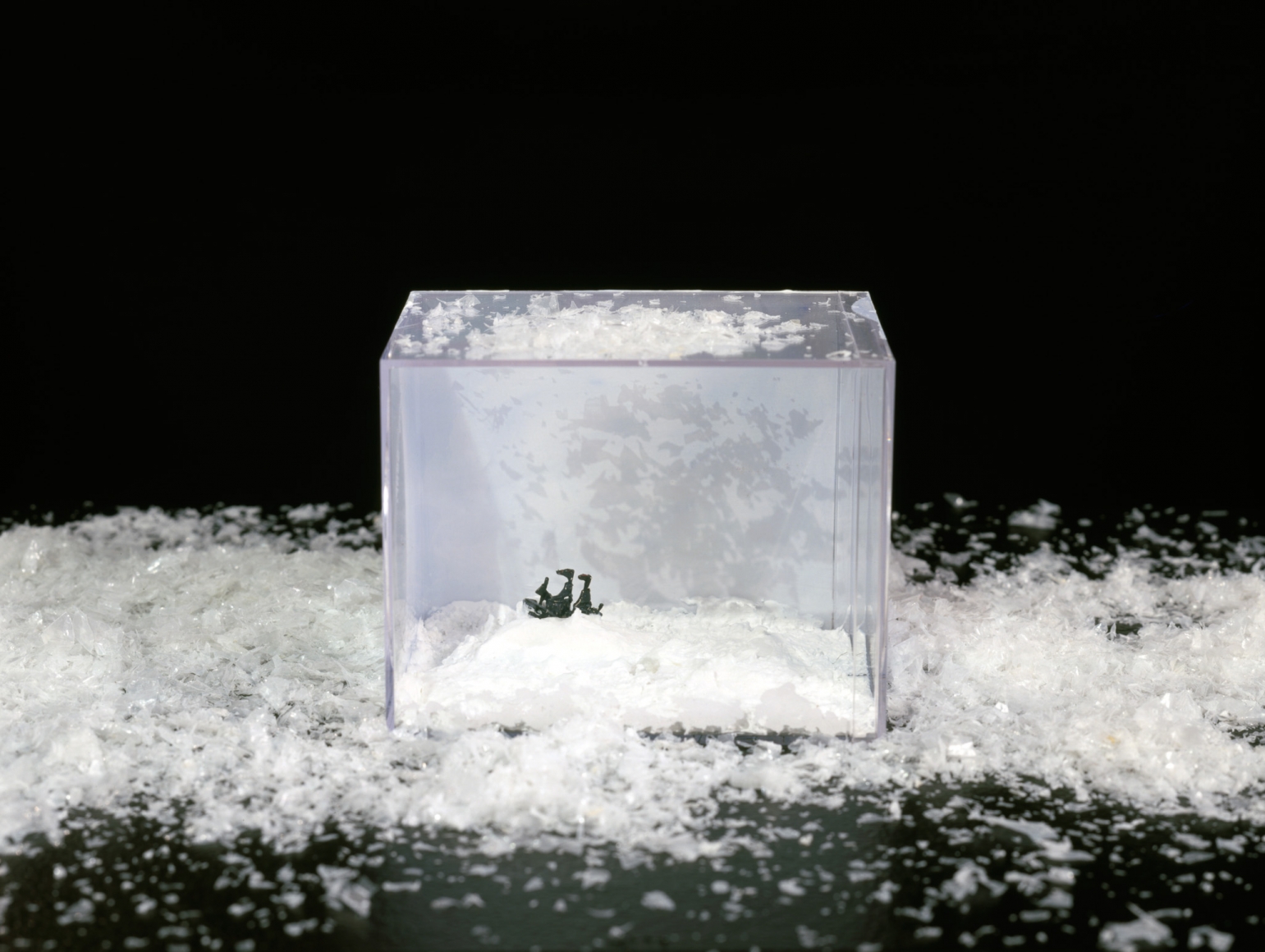 Karen Kilimnik, Endurance in the Ice, 2000