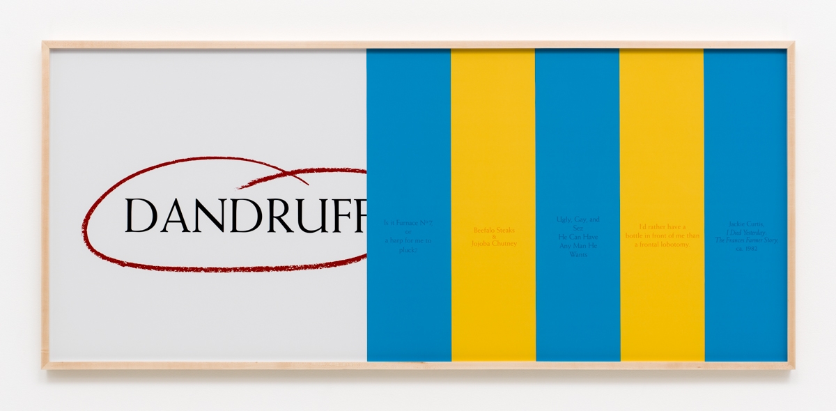 Larry Johnson, Untitled (Some Details with Dandruff Circled), 1995