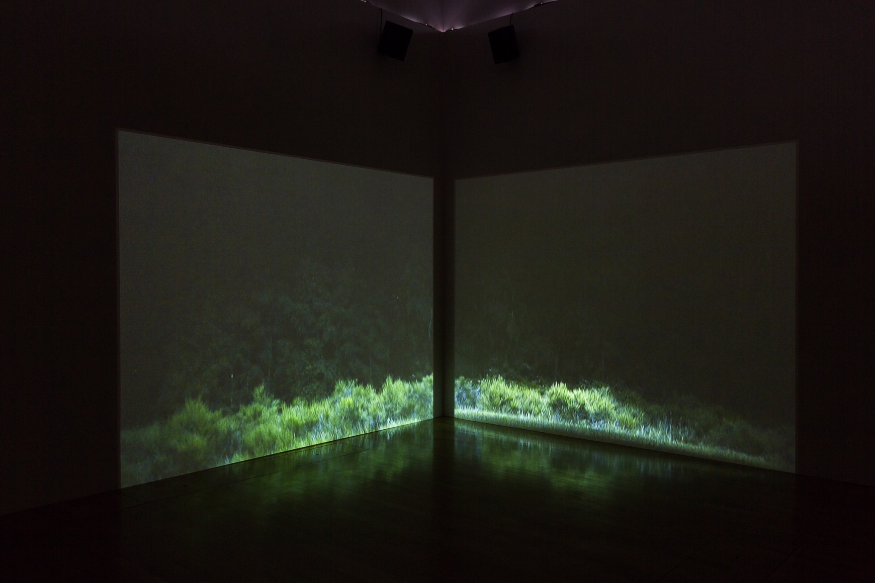 Rodney Graham, Installation view: Sammlung Goetz, München, 2016