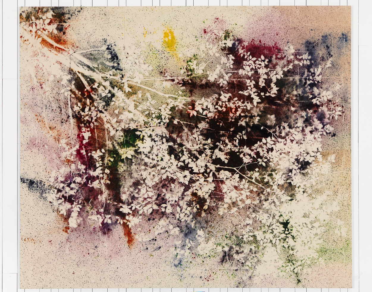 Sam Falls, Untitled (Hudson, NY, Hickory Tree), 2014