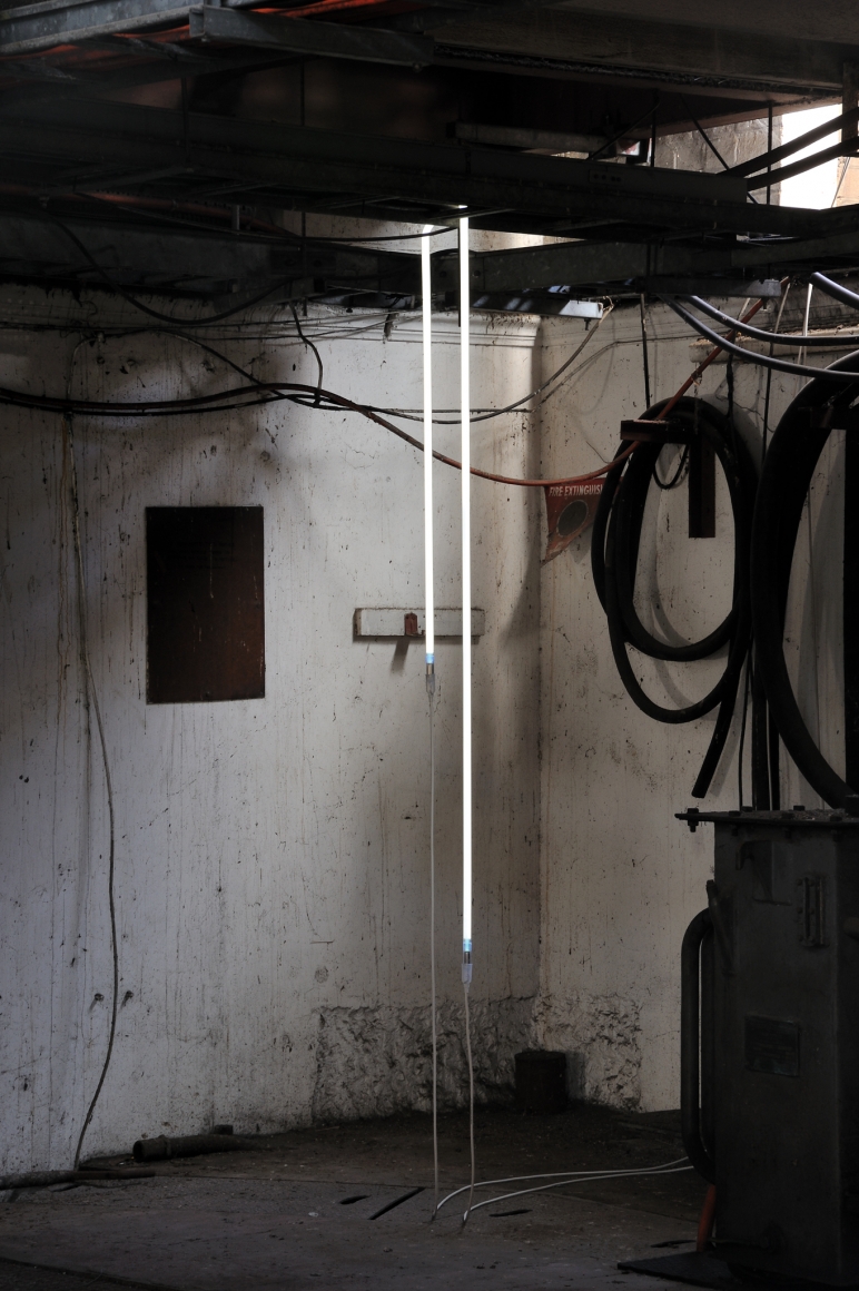Nina Canell, And So Entangled